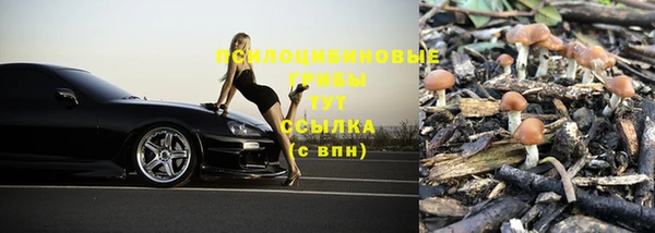 прущие крисы Балабаново